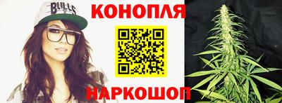 гашик Кулебаки