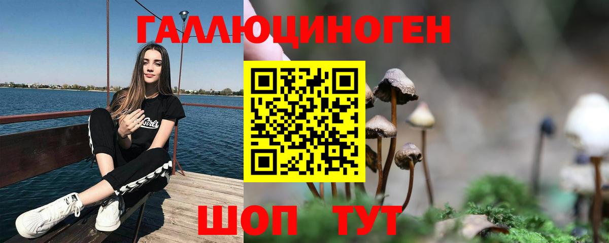 Псилоцибиновые грибы мицелий Якутск