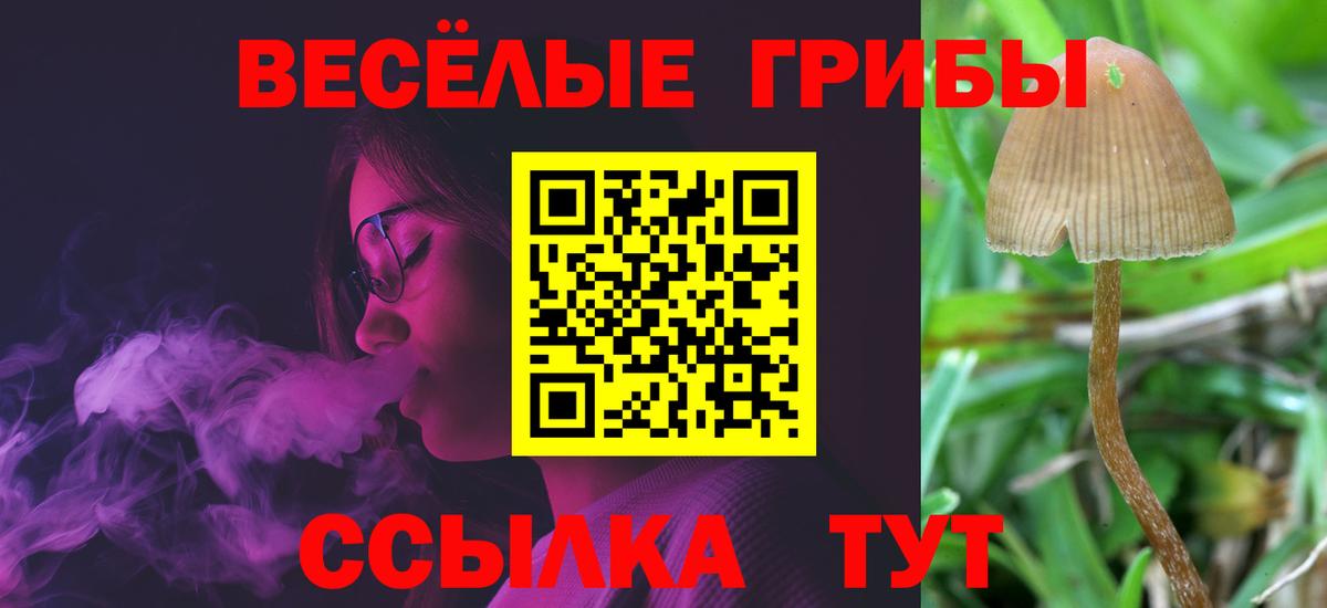 наркошоп  Галлюциногенные грибы Psilocybine cubensis  Вход с VPN  Якутск  Галлюциногенные грибы ЛСД 